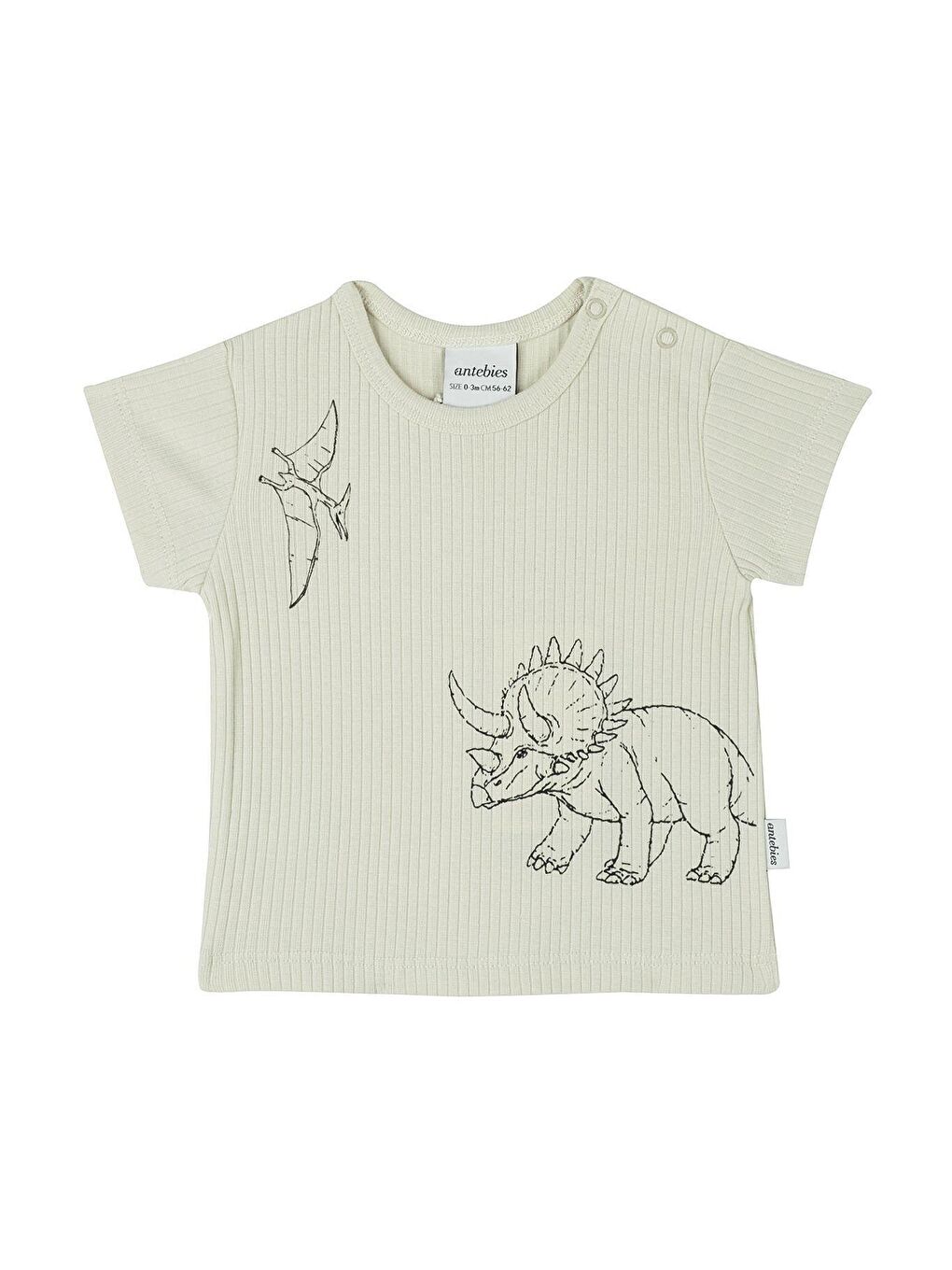 Yeşil Dinozorların Macerası Kısa Kollu Bebek Set-1