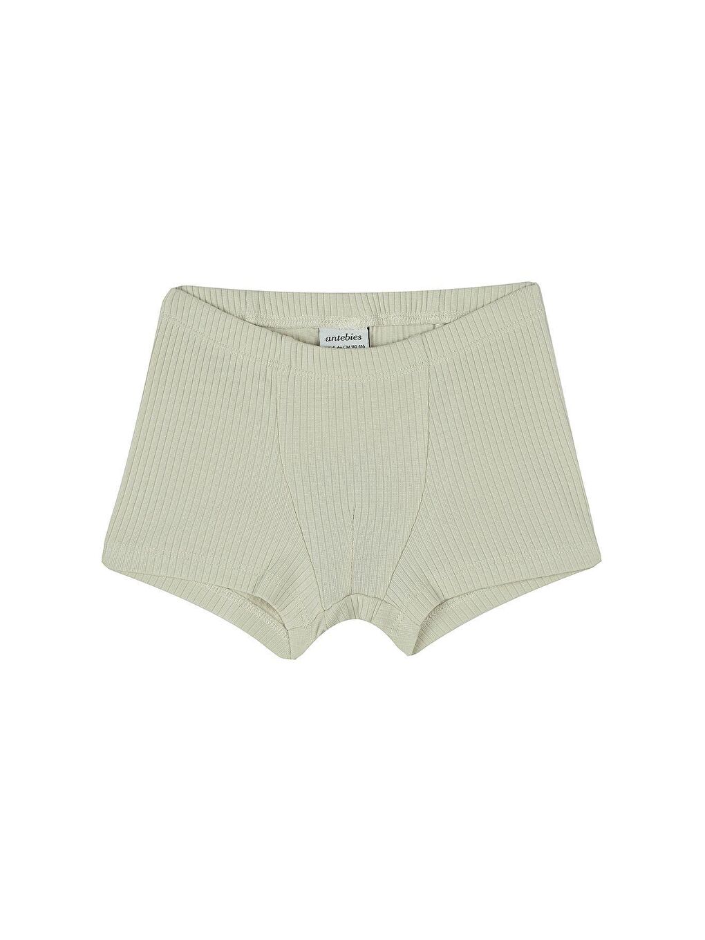 Bej Dinozorların Macerası Boxer Üçlü Set-1