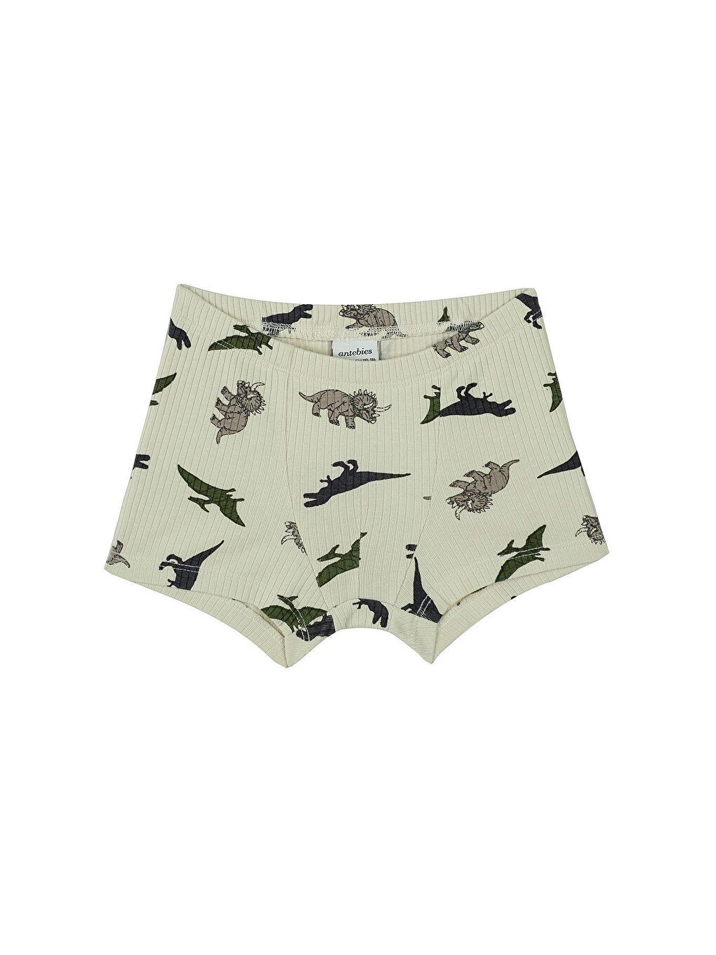 Bej Dinozorların Macerası Boxer Üçlü Set-2