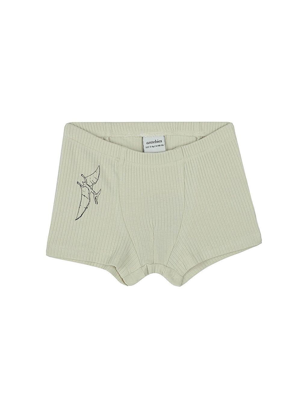 Bej Dinozorların Macerası Boxer Üçlü Set-3