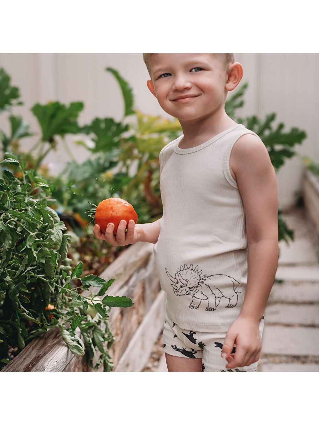 Bej Dinozorların Macerası Boxer Üçlü Set-4