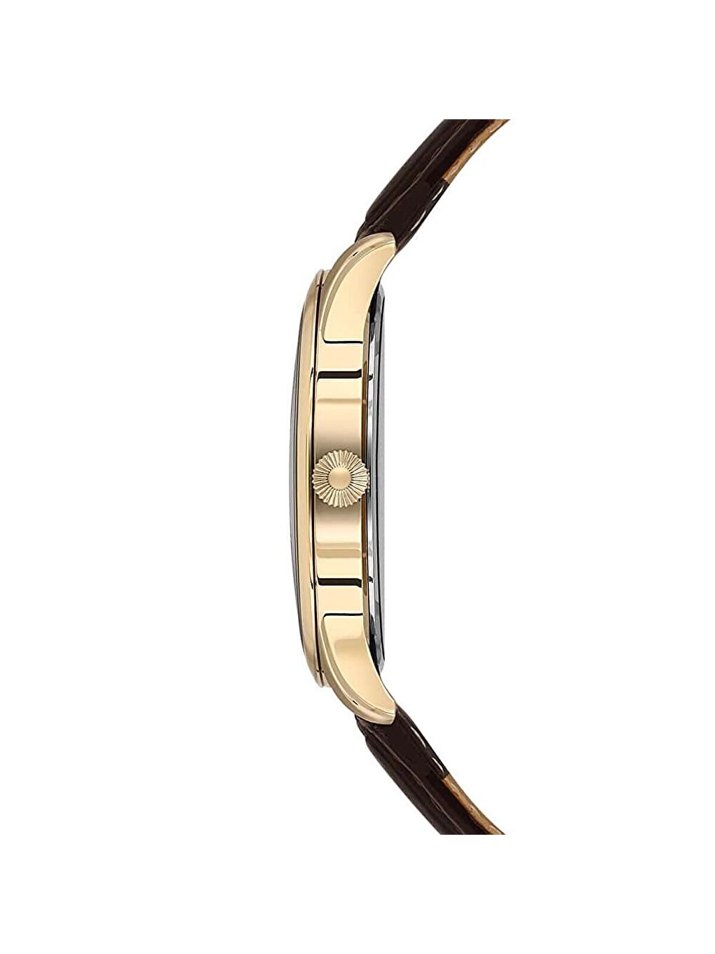 Kahverengi USPA1143-04 Erkek Kol Saati-1