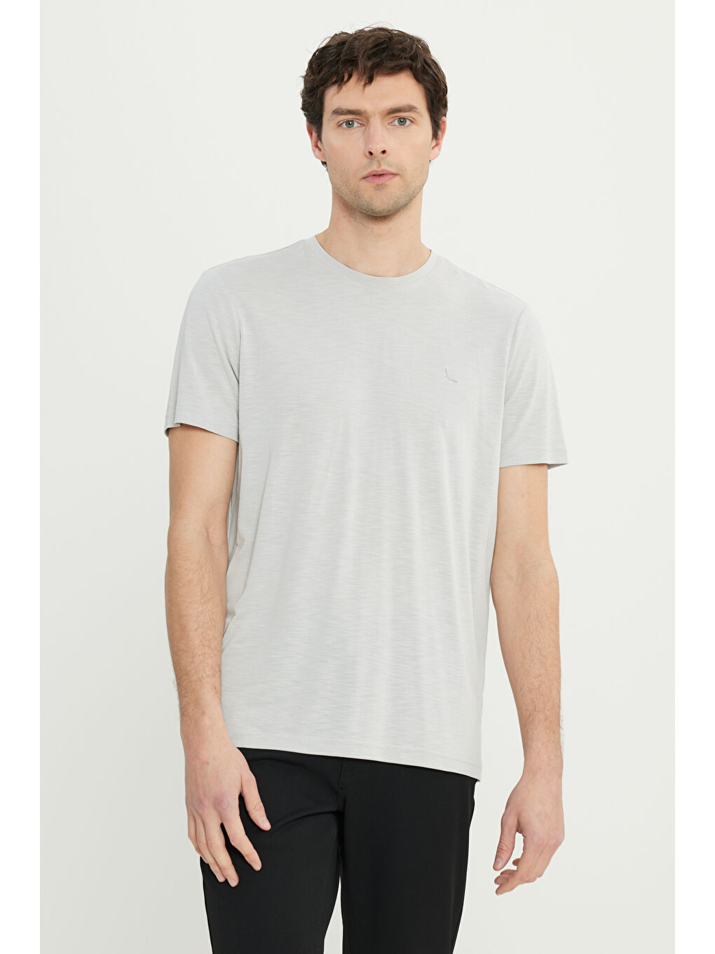 Erkek Açık Gri Yumuşak Dokulu Slim Fit Dar Kesim Bisiklet Yaka Tişört-2