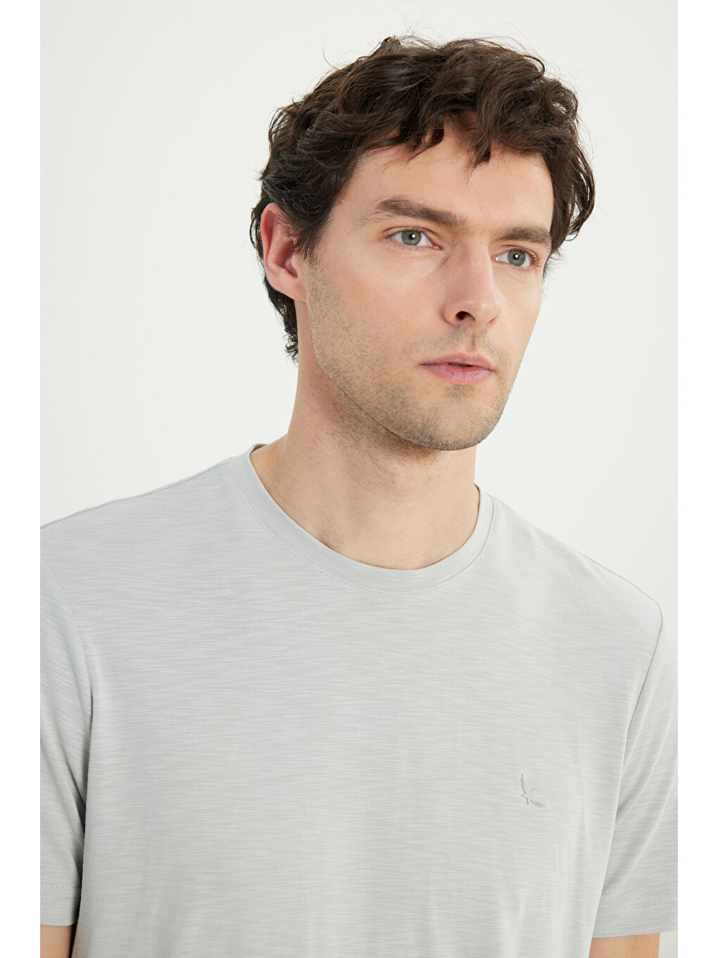 Erkek Açık Gri Yumuşak Dokulu Slim Fit Dar Kesim Bisiklet Yaka Tişört-3