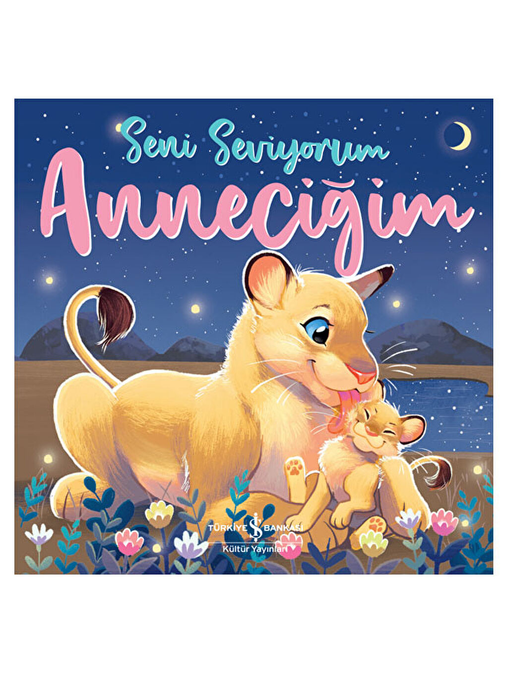 Seni Seviyorum Anneciğim