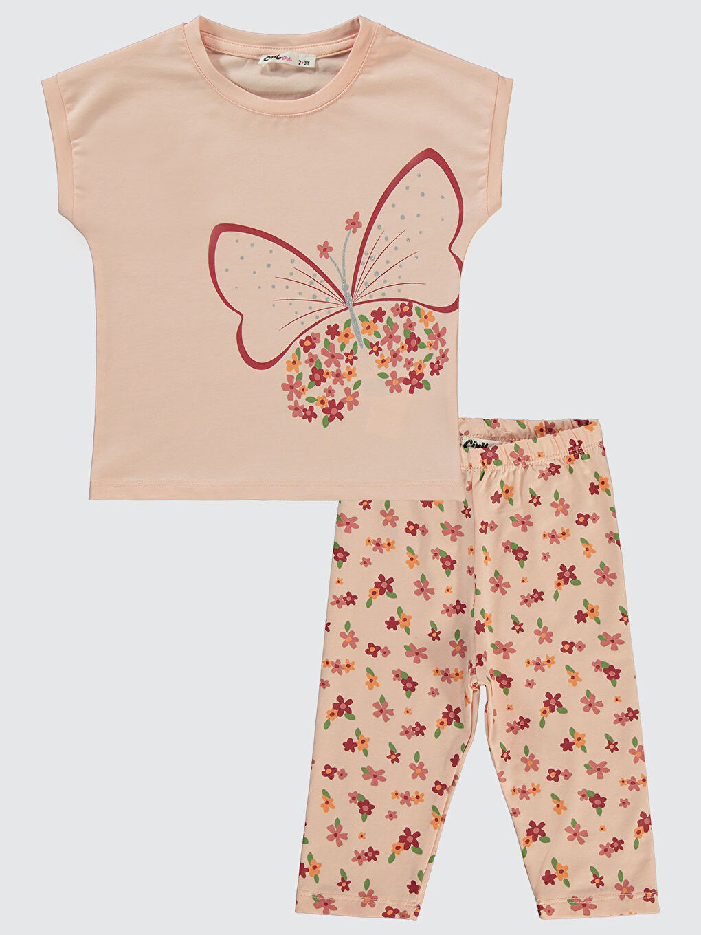 Pembe Girls Kız Çocuk Takım 2-5 Yaş Pudra