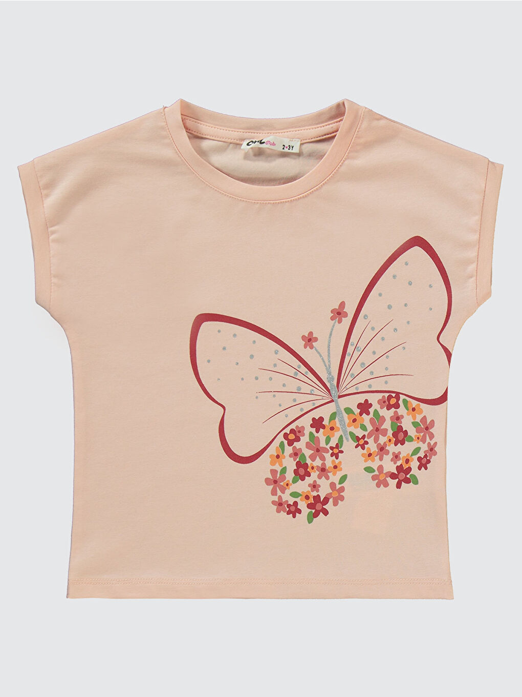 Pembe Girls Kız Çocuk Takım 2-5 Yaş Pudra-2