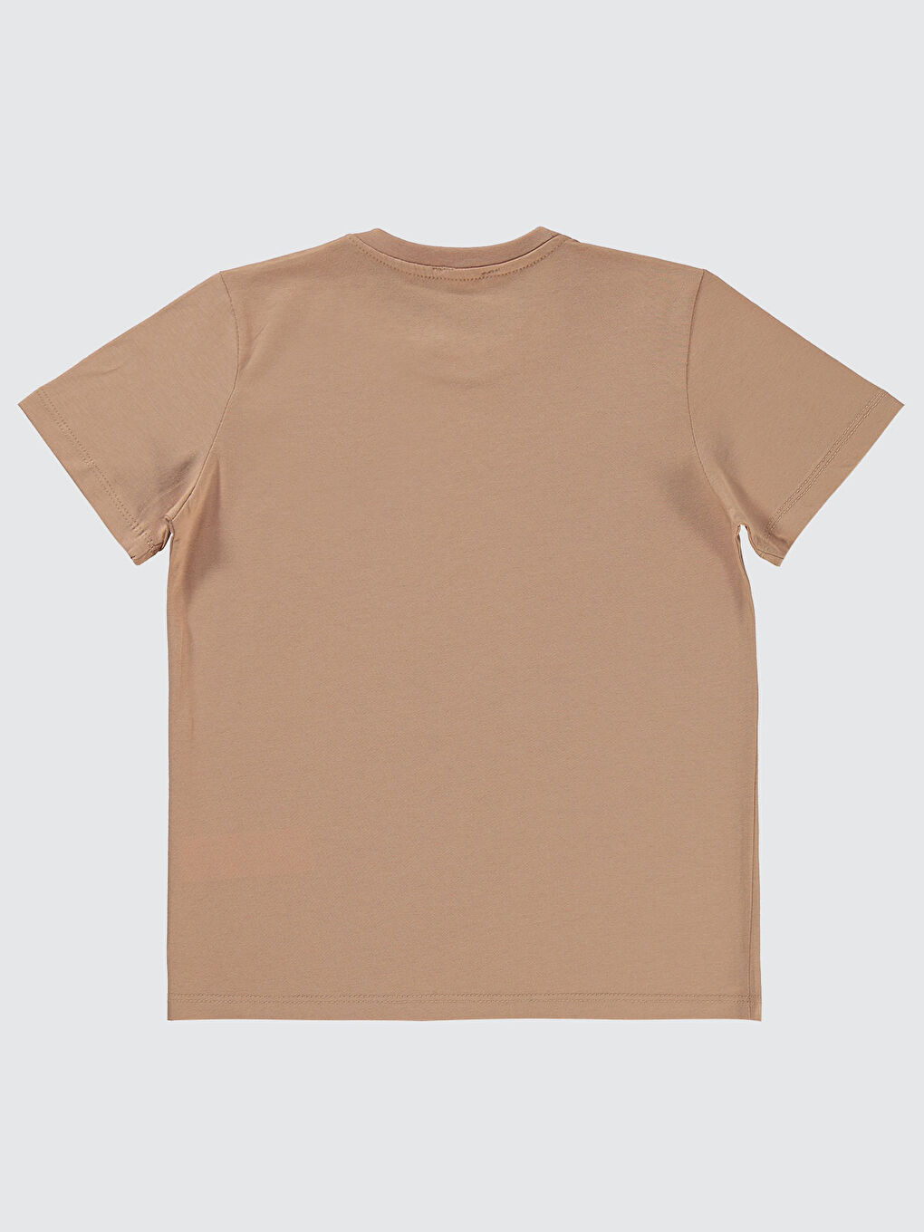 Bej Boys Erkek Çocuk Tişört 10-13 Yaş Vizon-1