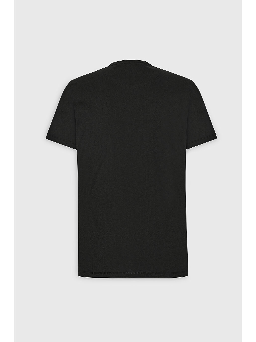 Erkek Siyah Slim Fit Dar Kesim Bisiklet Yaka Pamuklu Tişört-8