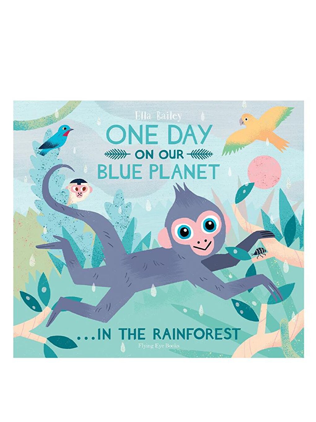 Flying Eye Books Renksiz One Day on Our Blue Planet - In The Rainforest