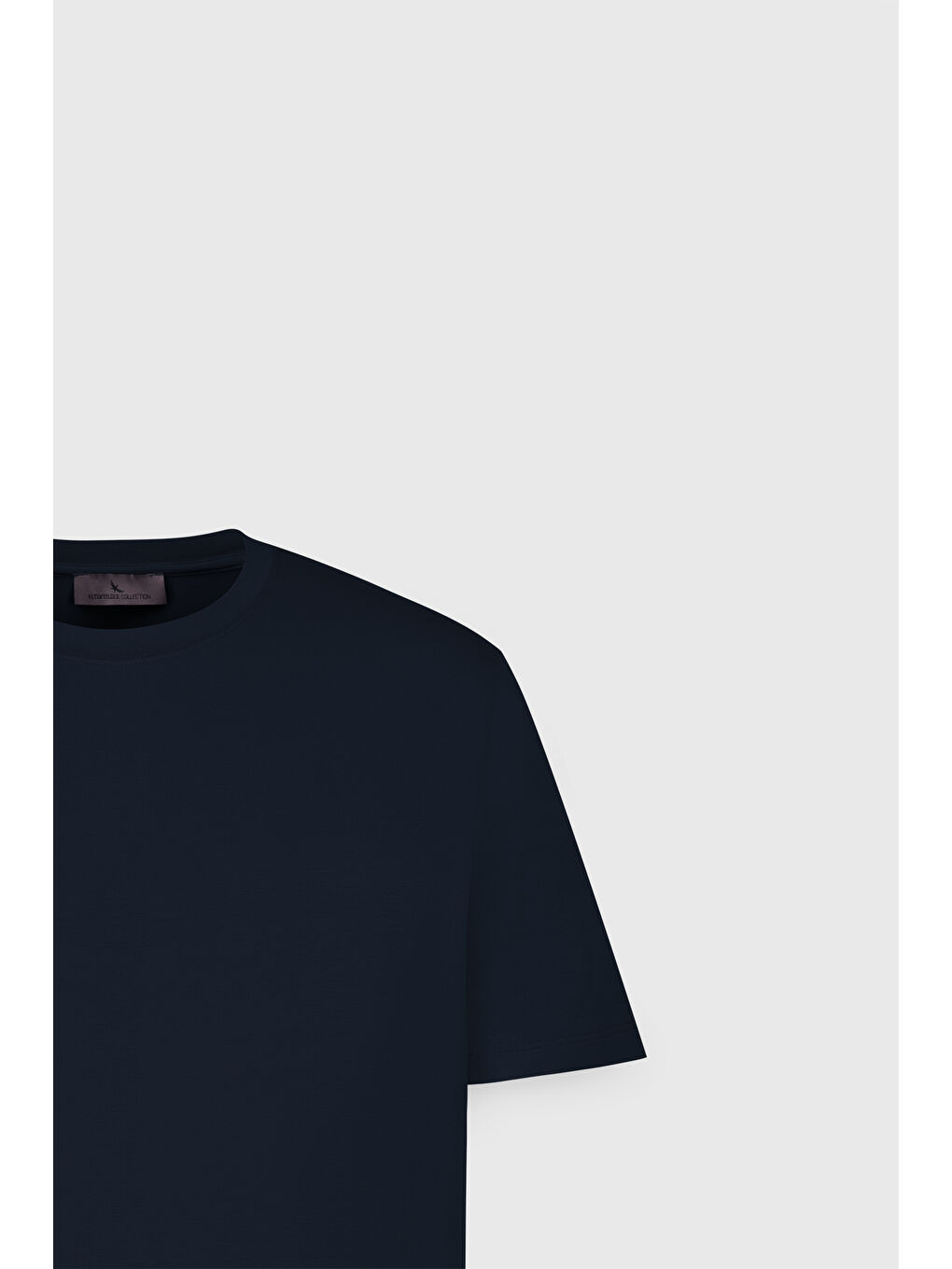 Erkek Lacivert Standart Fit Normal Kesim Bisiklet Yaka Pamuklu Tişört-6