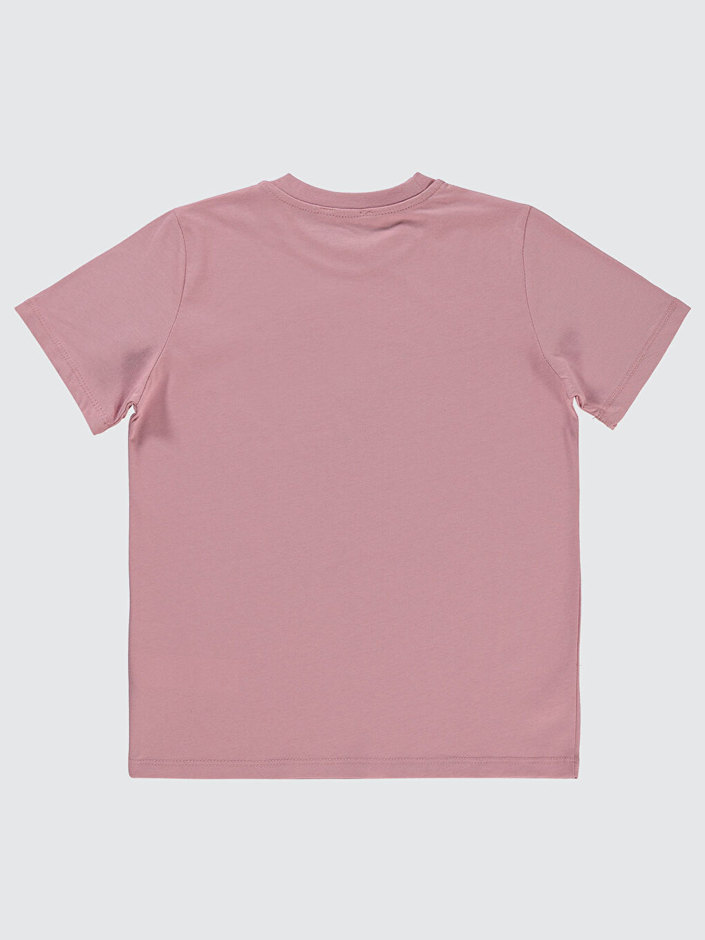 Pembe Boys Erkek Çocuk Tişört 10-13 Yaş Gül Kurusu-1