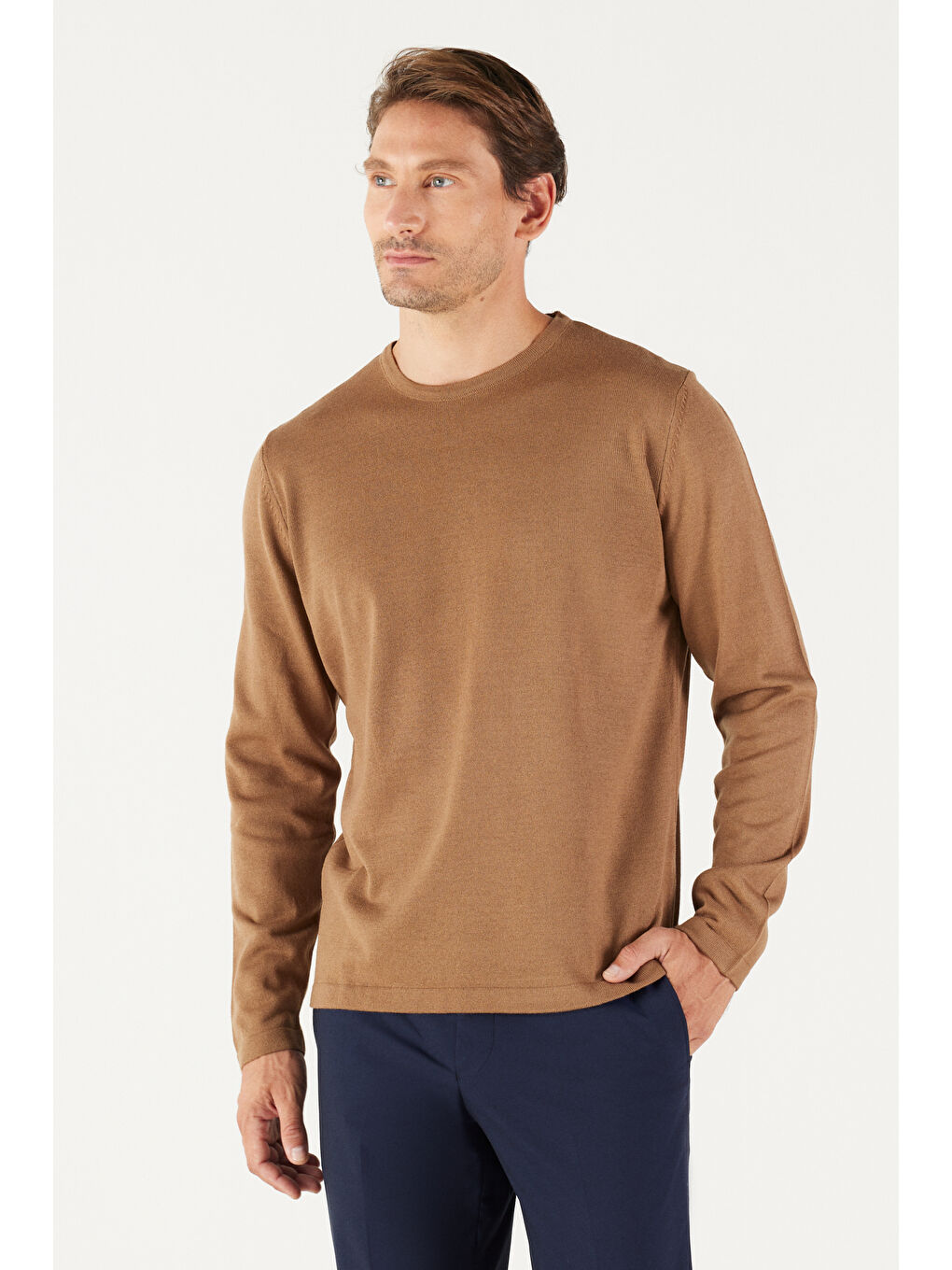 Bej Erkek Vizon Standart Fit Normal Kesim Bisiklet Yaka Triko Kazak-1