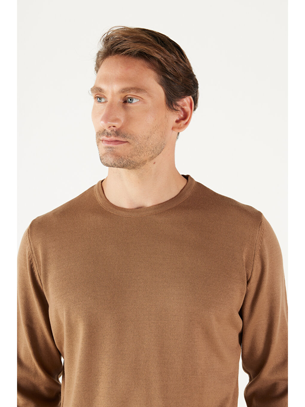 Bej Erkek Vizon Standart Fit Normal Kesim Bisiklet Yaka Triko Kazak-2