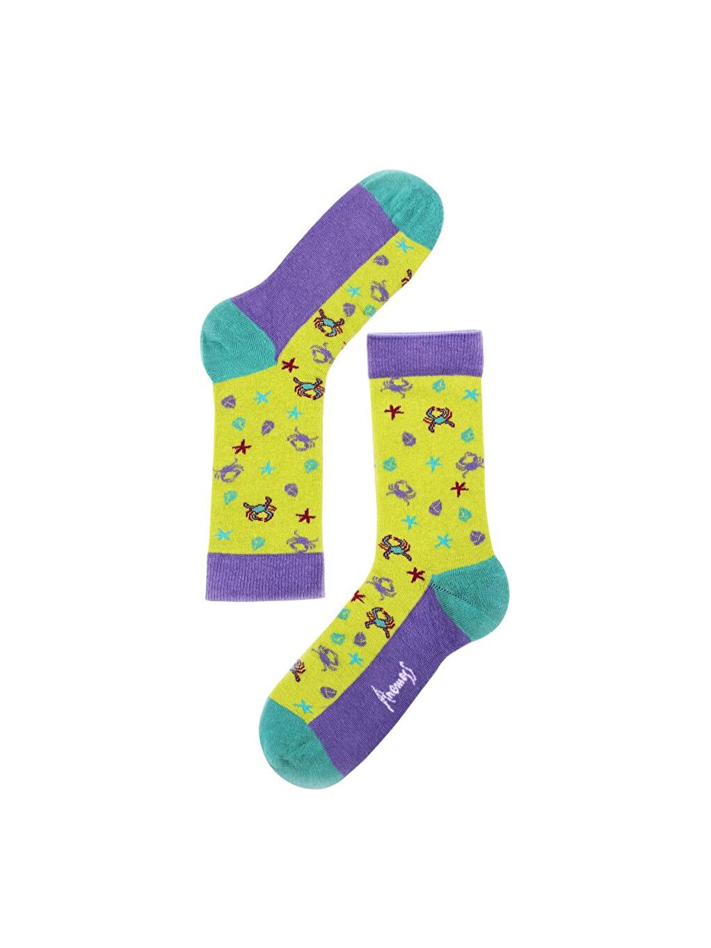 Karışık Kadın 5'li Dikişsiz Soket Çorap Seti, Deniz Temalı Desenler, %85 Pamuk, 36-40 Beden-4