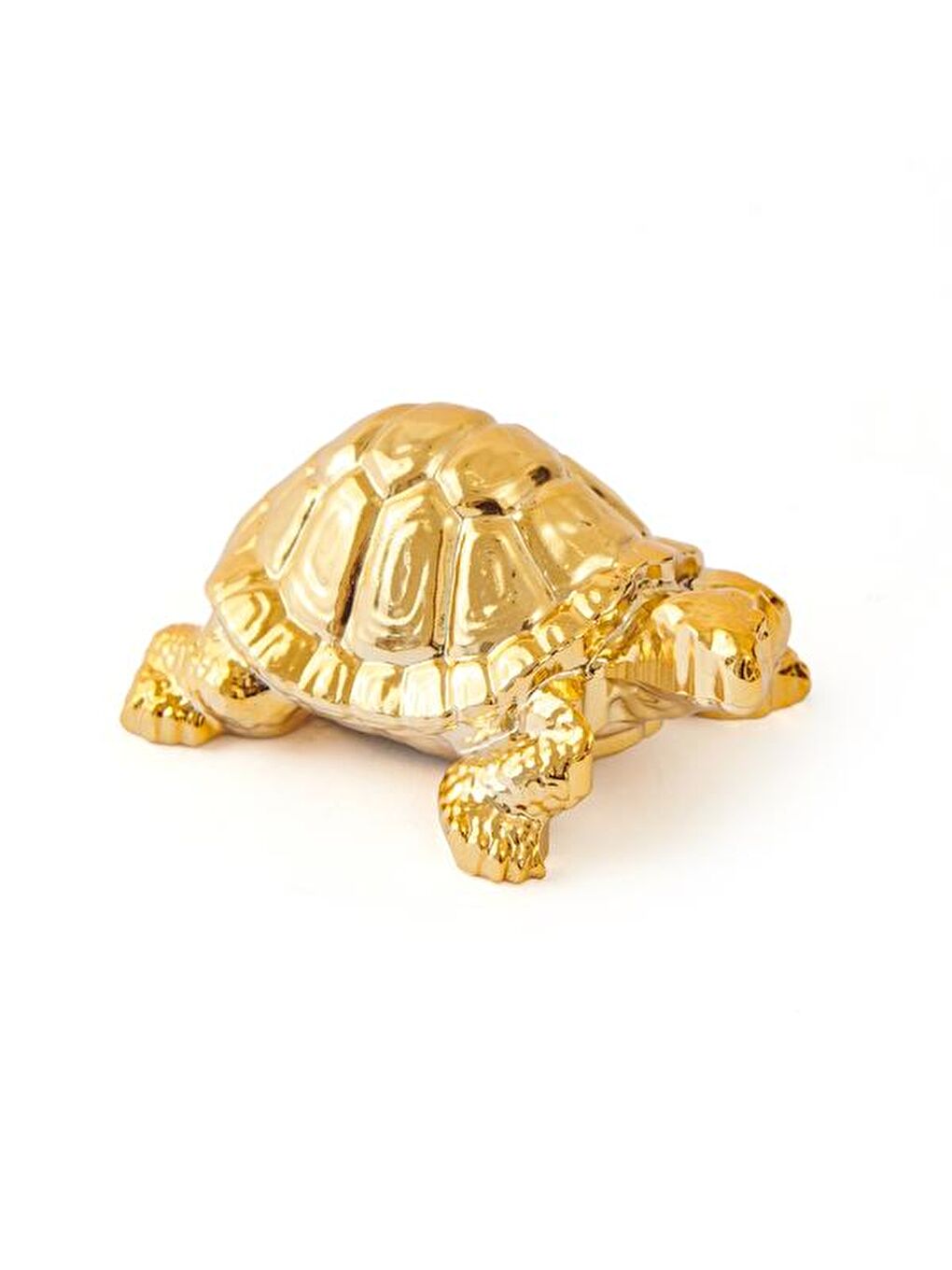 Sarı Metalik Kaplumbağa - Gold-2