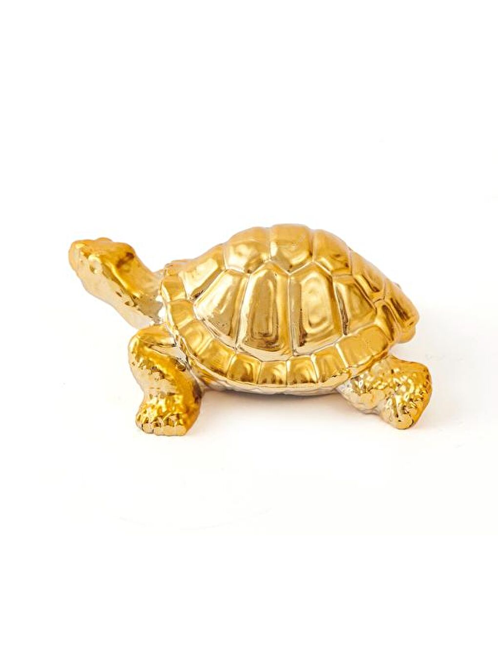 Sarı Metalik Kaplumbağa - Gold-3