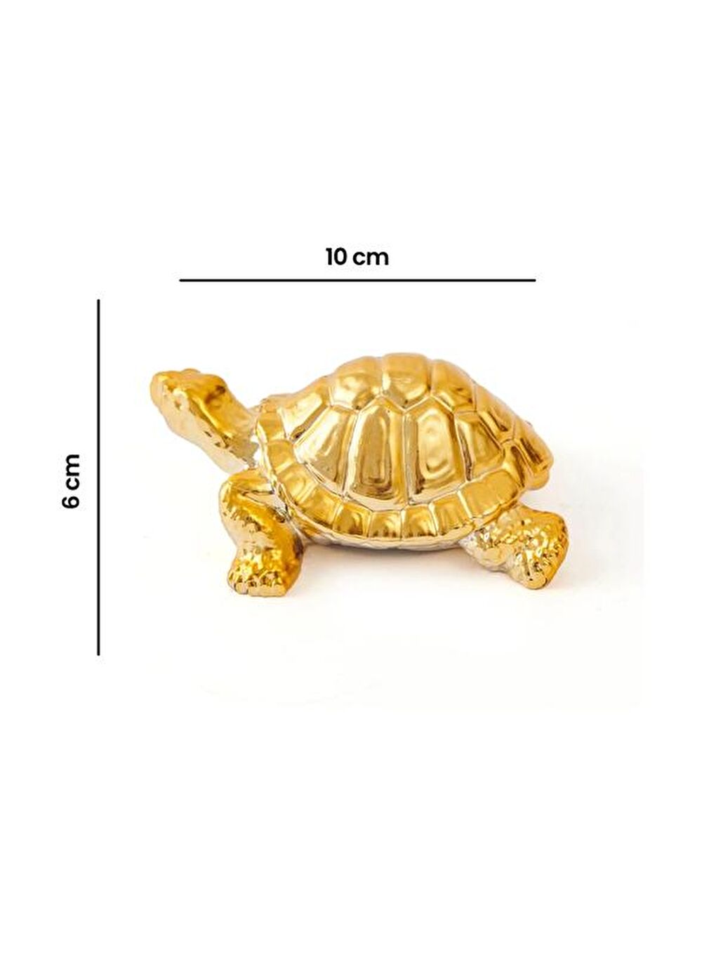 Sarı Metalik Kaplumbağa - Gold-4