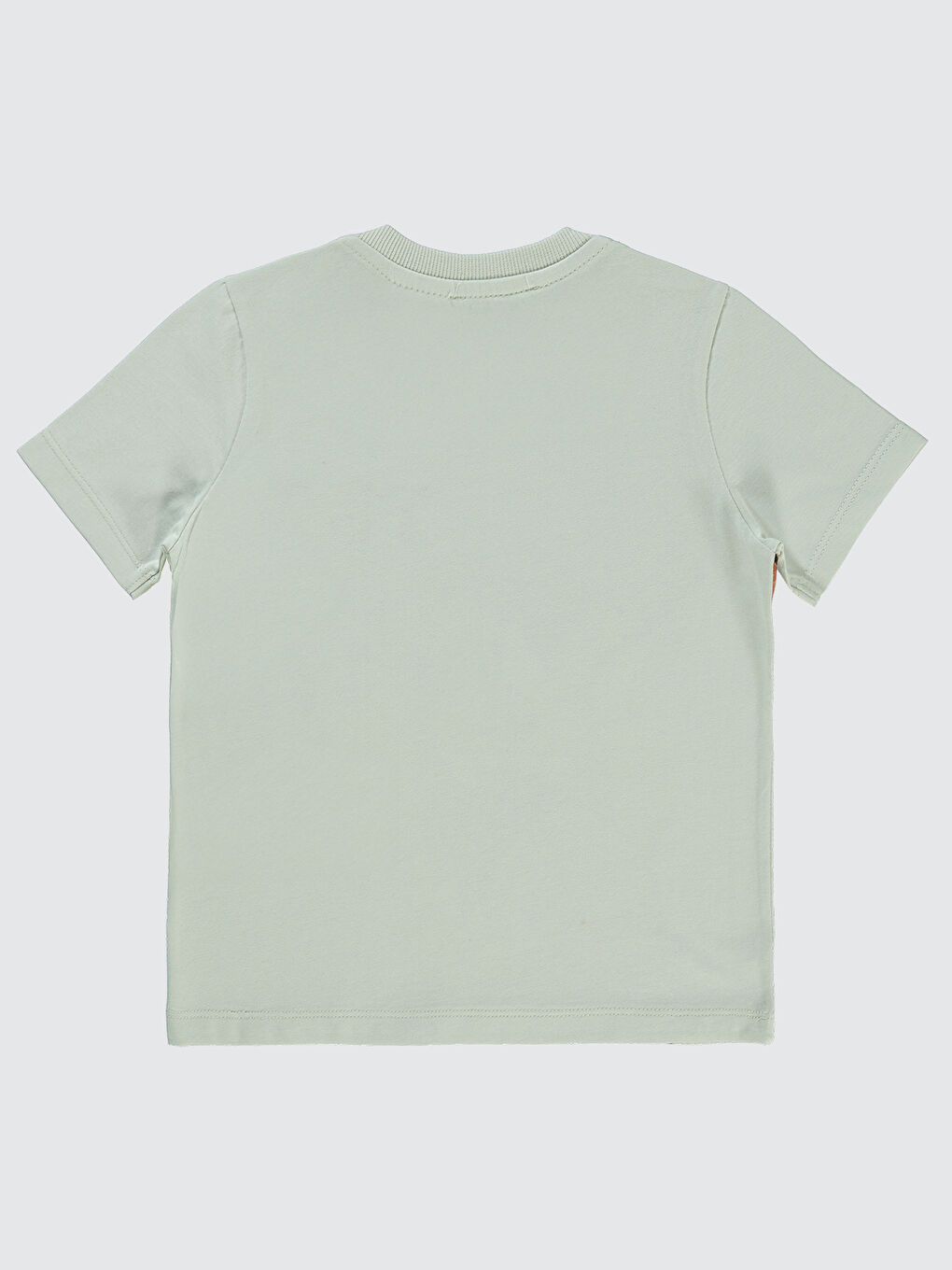 Tazmanya Erkek Çocuk Tişört 2-5 Yaş Açık Gri-1