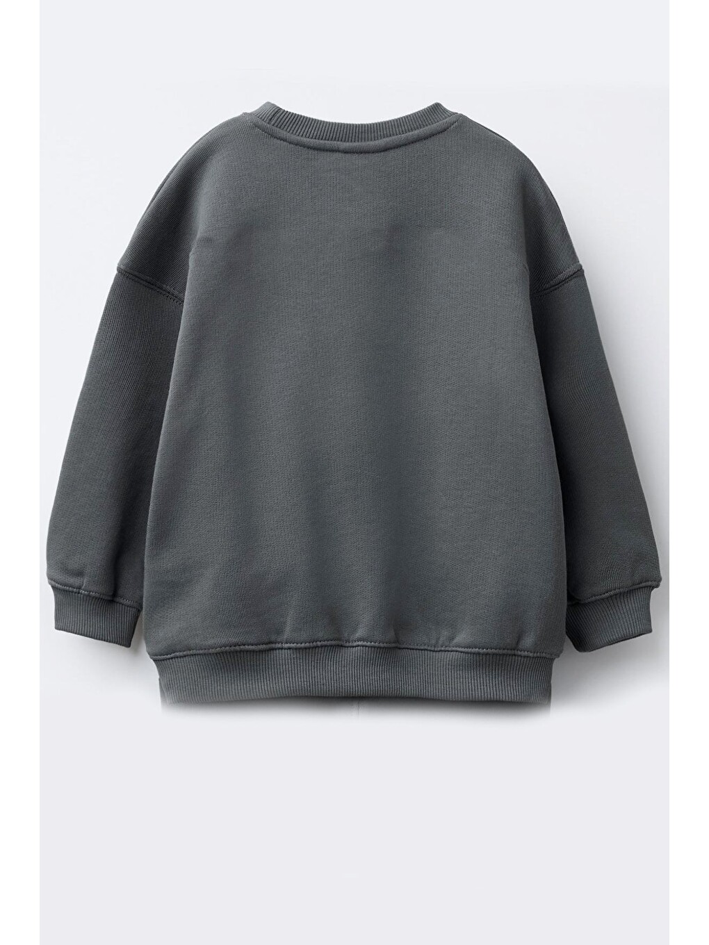 Antrasit Erkek Çocuk 3 İplik Kumaş Leopar Baskılı Pamuklu Sweatshirt-1