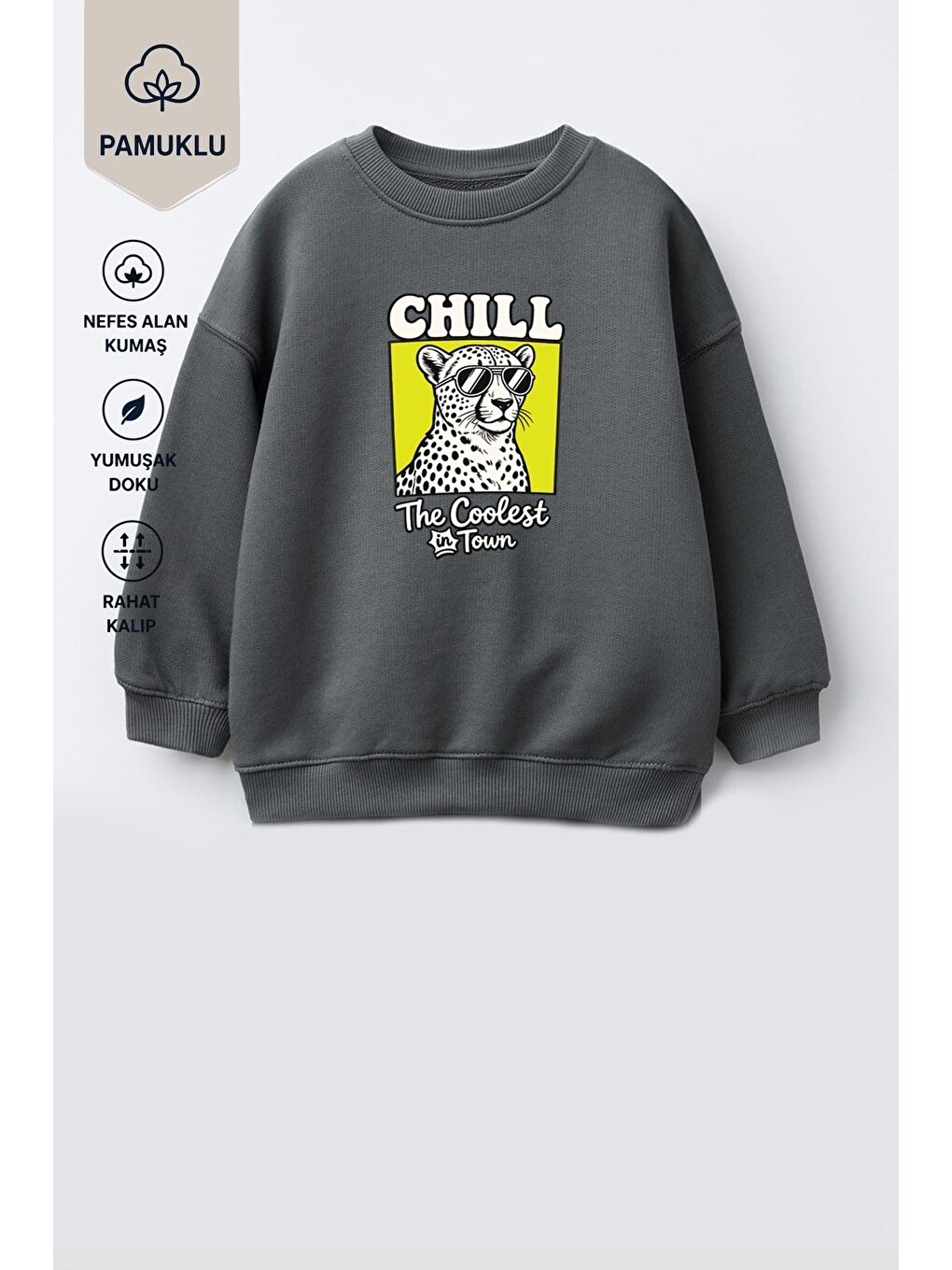 Antrasit Erkek Çocuk 3 İplik Kumaş Leopar Baskılı Pamuklu Sweatshirt-2