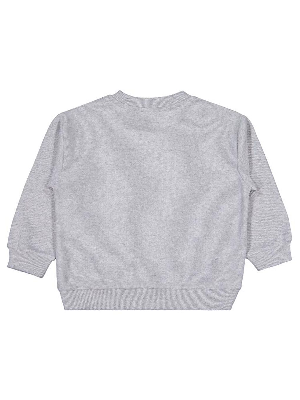 Gri Erkek Çocuk Basic Selanik 2-5 Yaş Sweatshirt-1