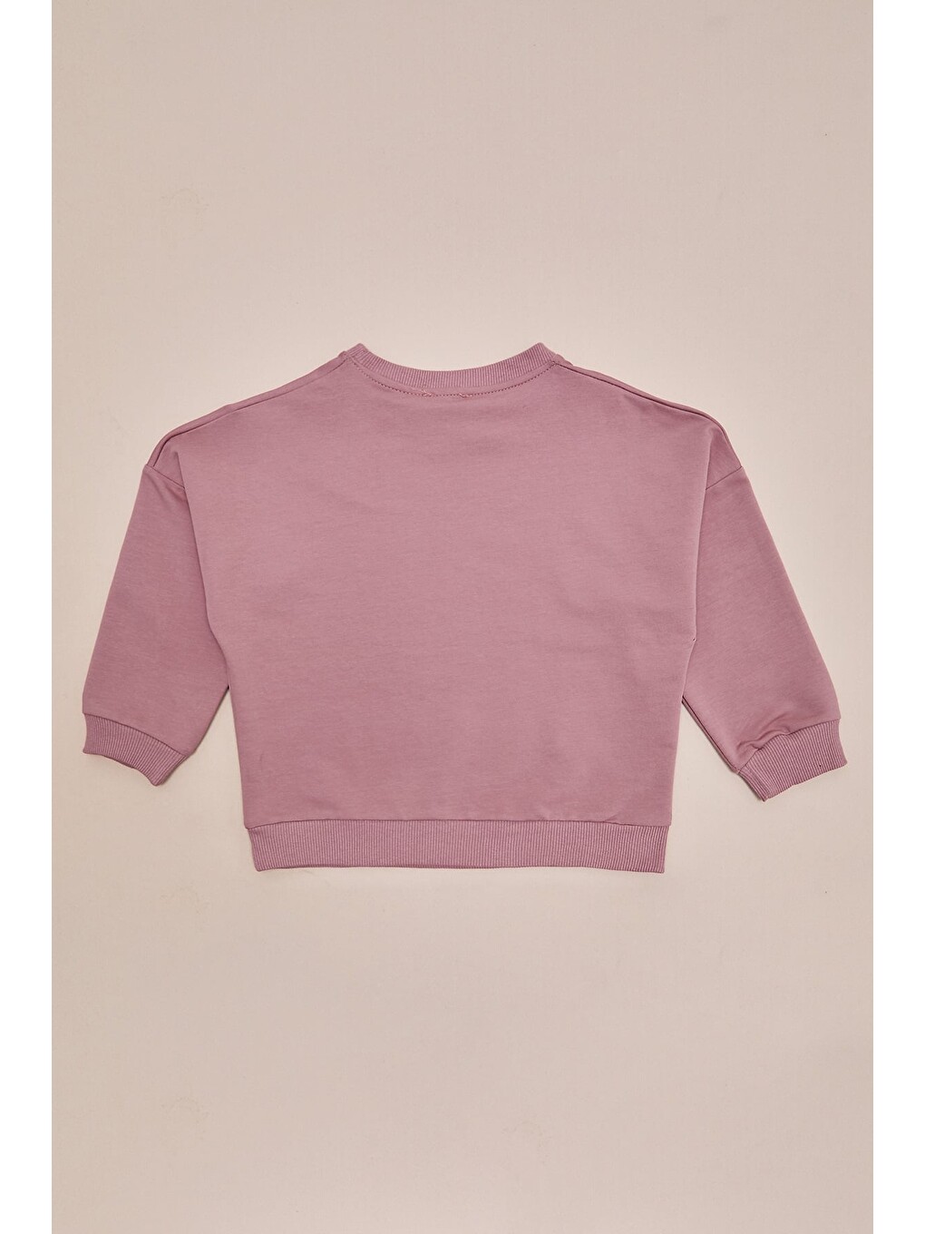 Pembe Ayıcık Baskılı Oversize Kız Çocuk Sweatshirt-3