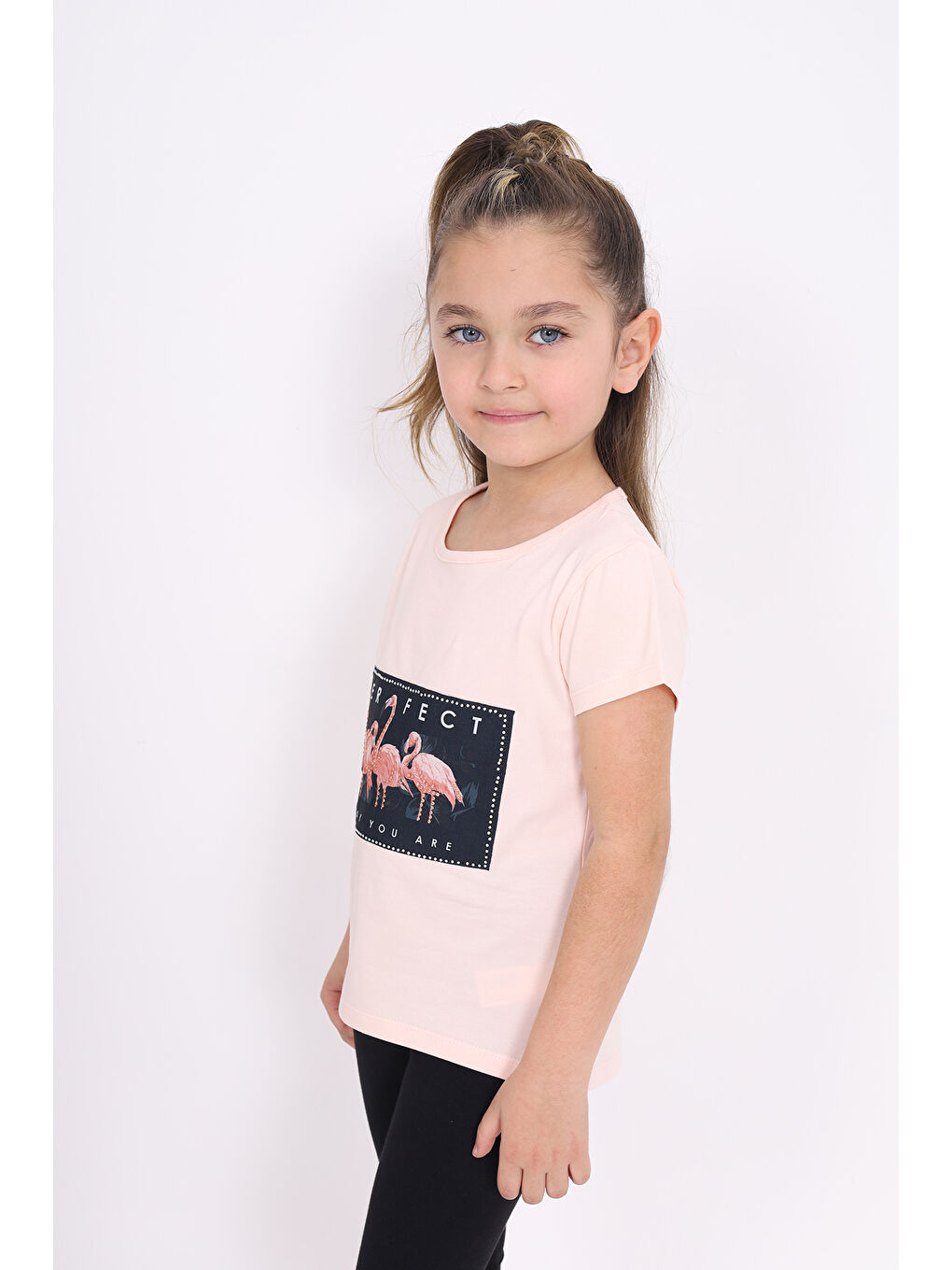 Pembe Kız Çocuk Flamingo Baskılı Tişört-1