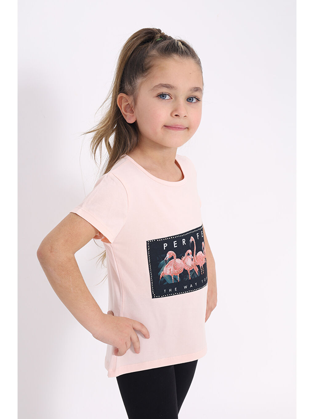 Pembe Kız Çocuk Flamingo Baskılı Tişört-2