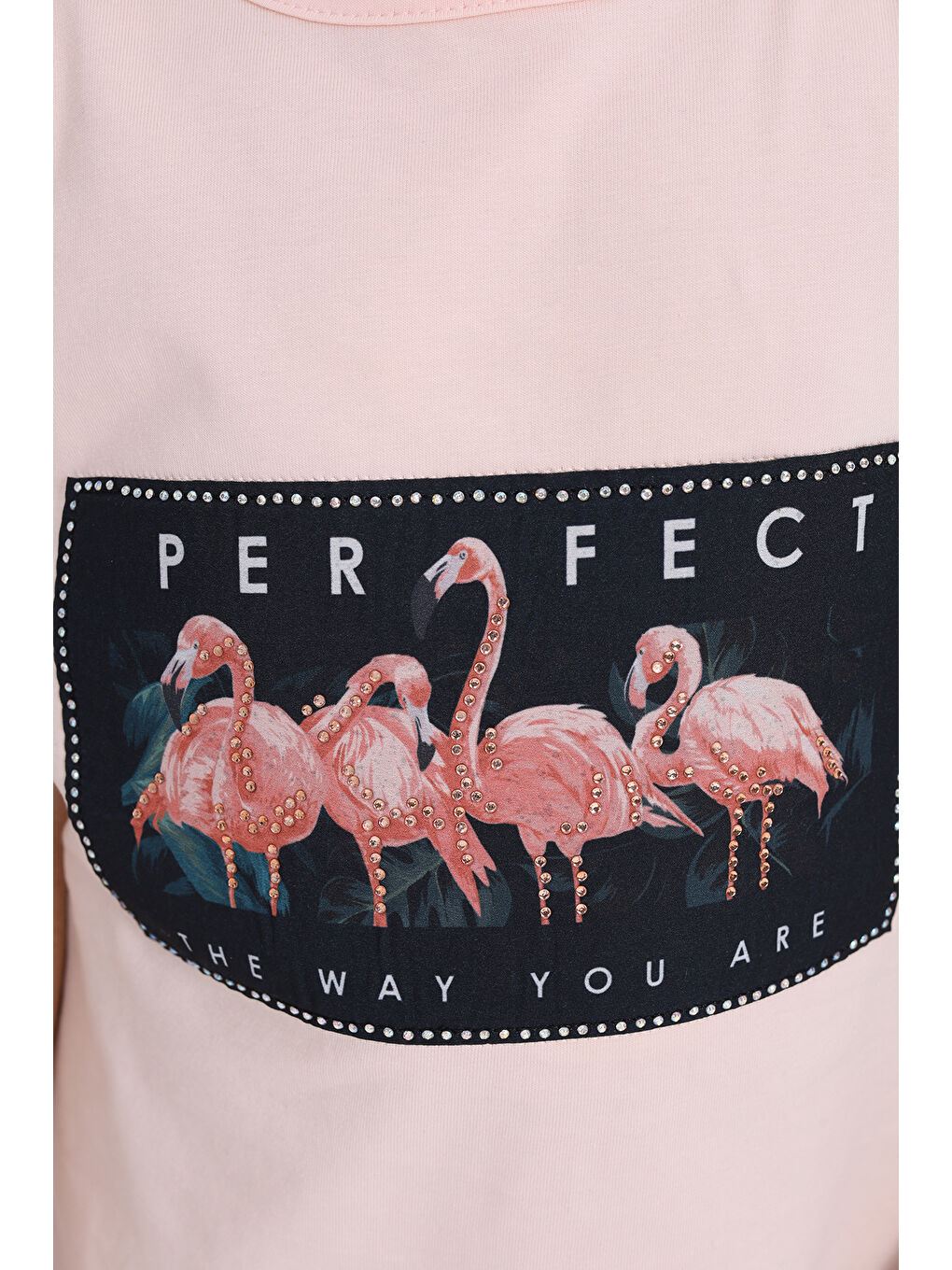 Pembe Kız Çocuk Flamingo Baskılı Tişört-4