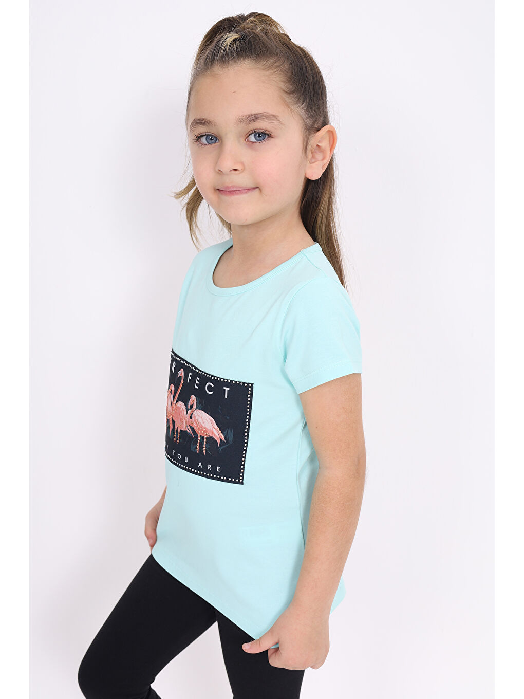 Yeşil Kız Çocuk Flamingo Baskılı Tişört-1