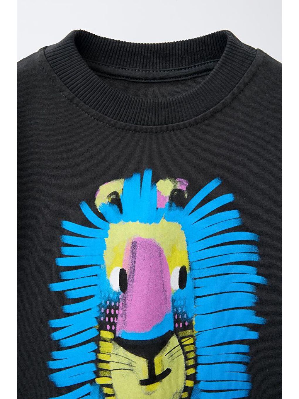 Erkek Çocuk Pamuklu Siyah Aslan Baskılı T-Shirt Ve Çizgili Pantolon Takım-2