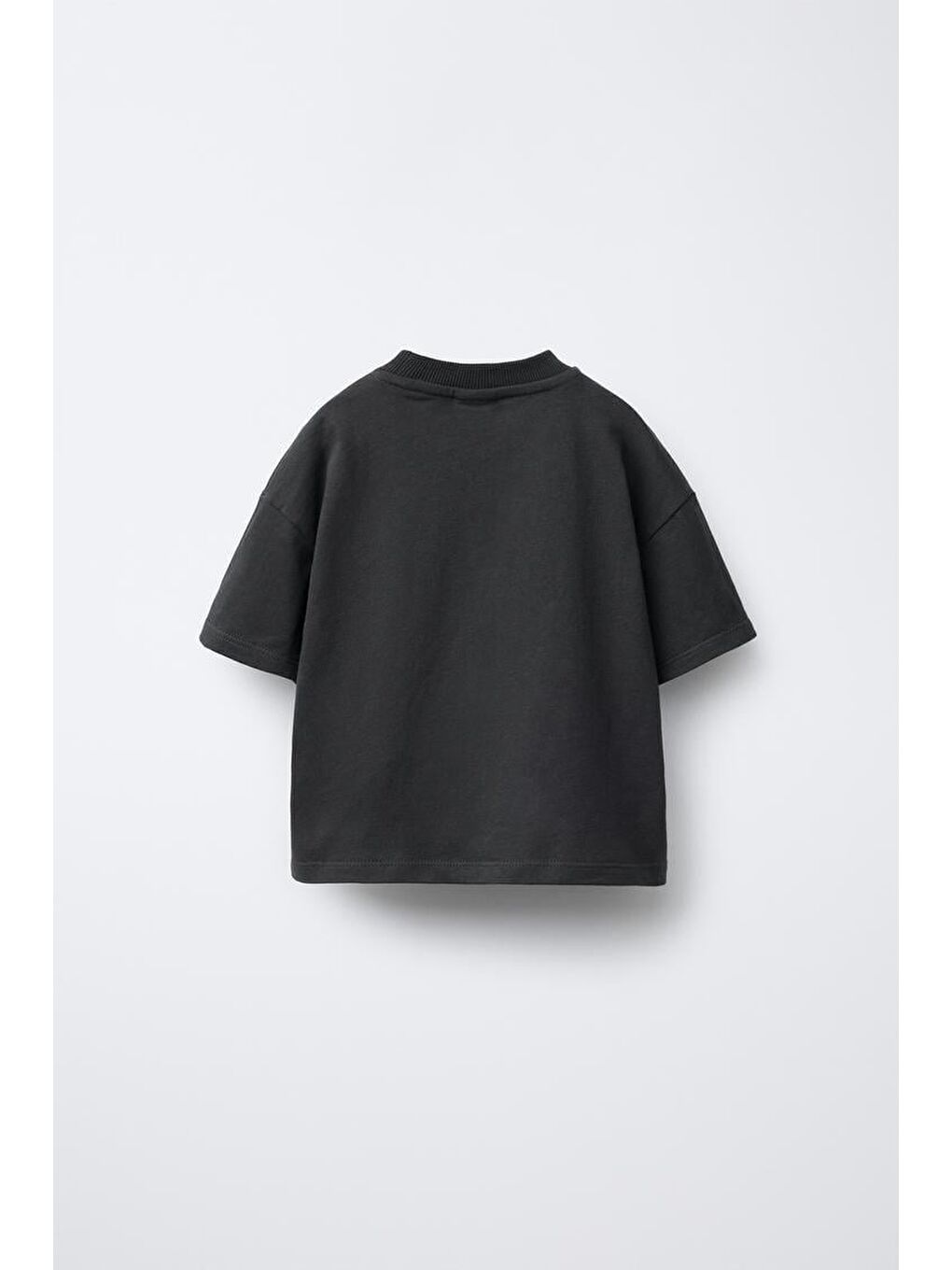 Erkek Çocuk Pamuklu Siyah Aslan Baskılı T-Shirt Ve Çizgili Pantolon Takım-3