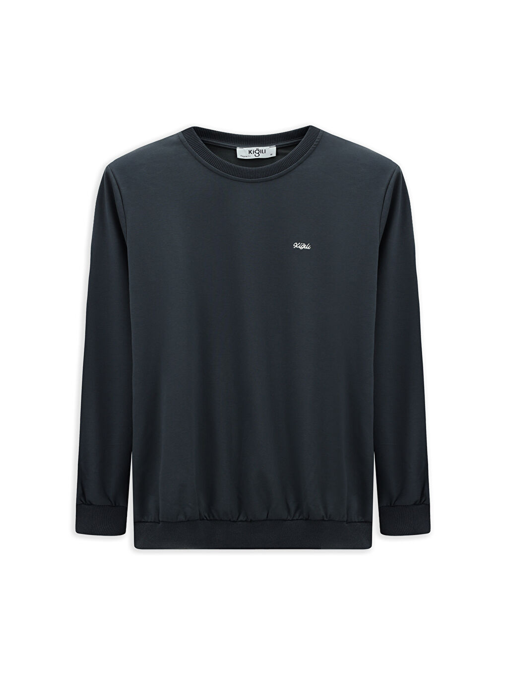 Gri Bisiklet Yaka Regular Fit Nakışlı Pamuklu Büyük Beden Sweatshirt