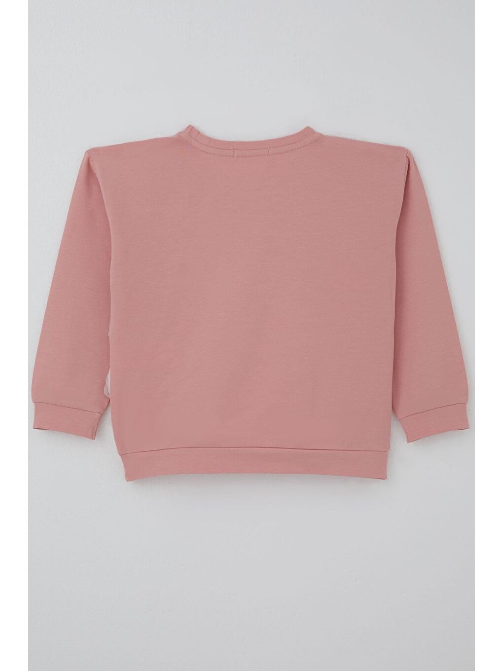 Pembe Kız Çocuk Sweatshirt Organze Kabartmalı Gül Detaylı Gülkurusu (6-12 Yaş)-2