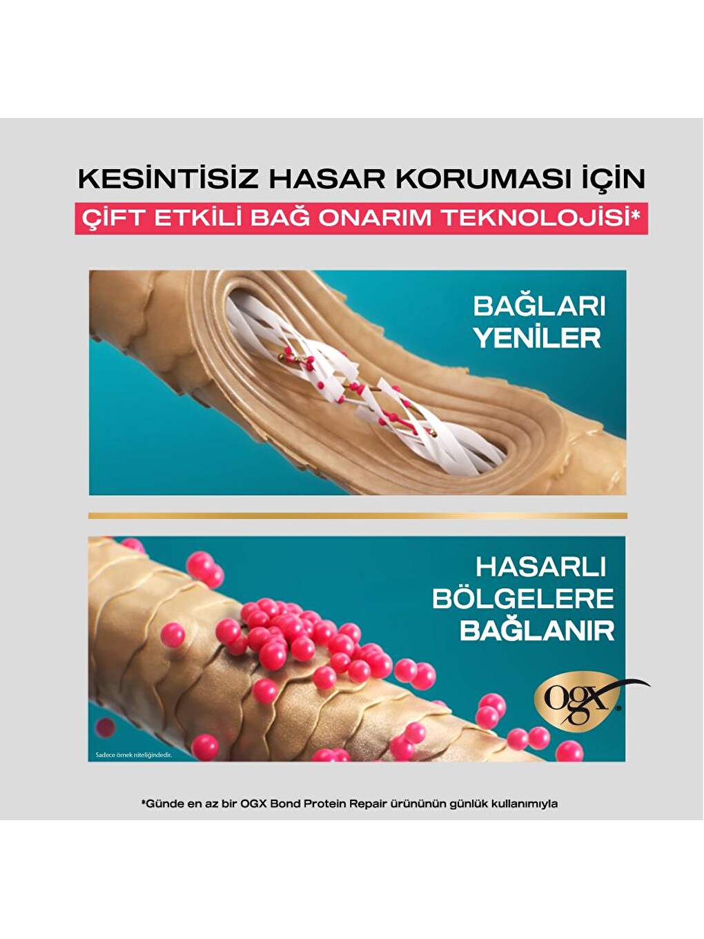 Bond Protein Repair Şampuan 385 ml x 2-4