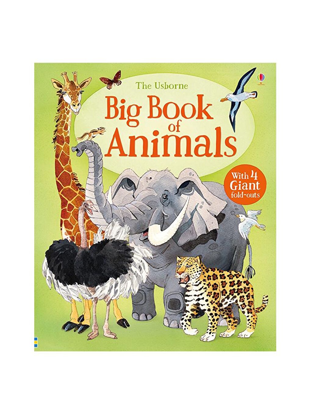 Usborne Renksiz Big Book of Animals