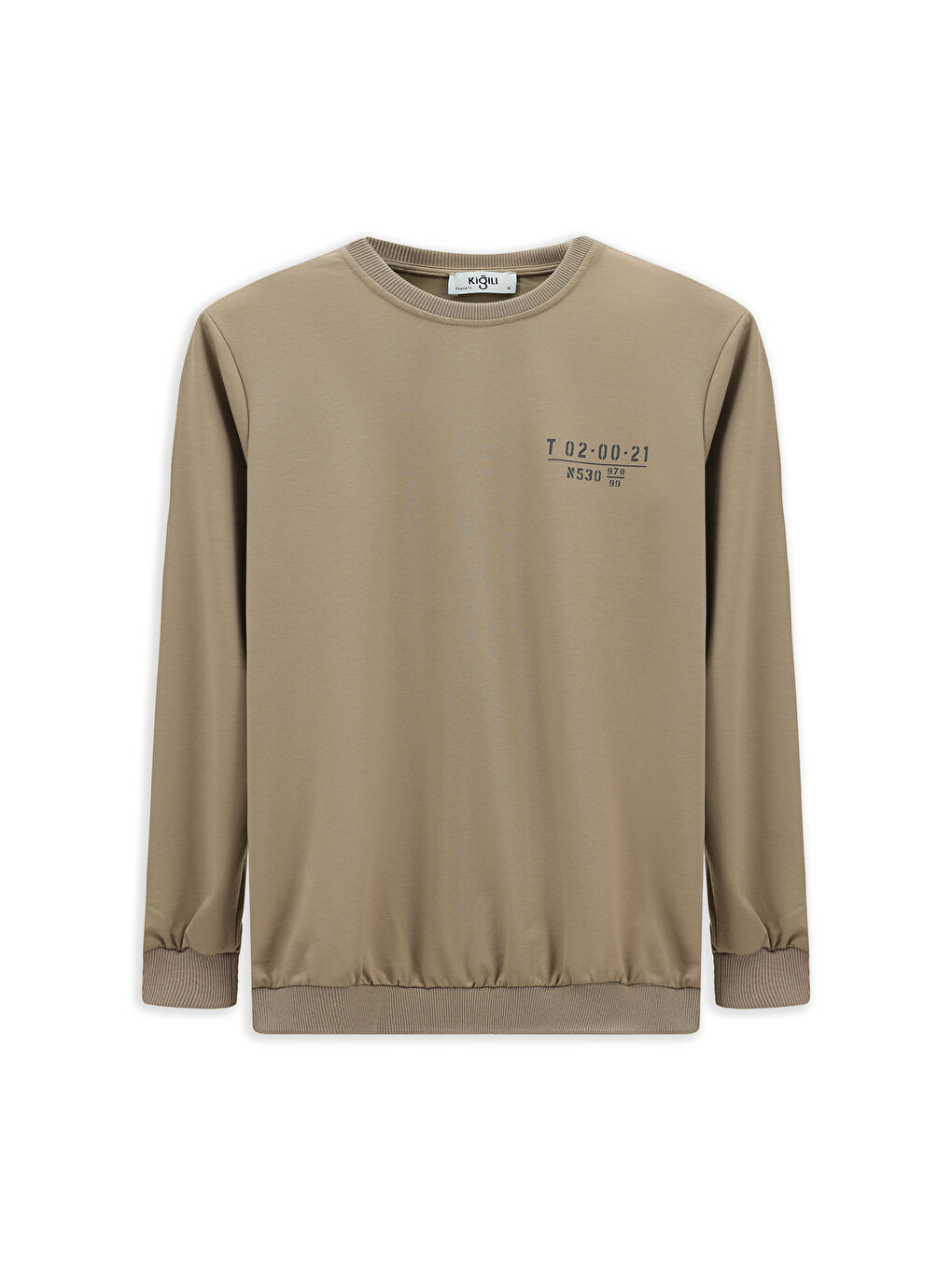 Bej Bisiklet Yaka Regular Fit Baskılı Pamuklu Büyük Beden Sweatshirt