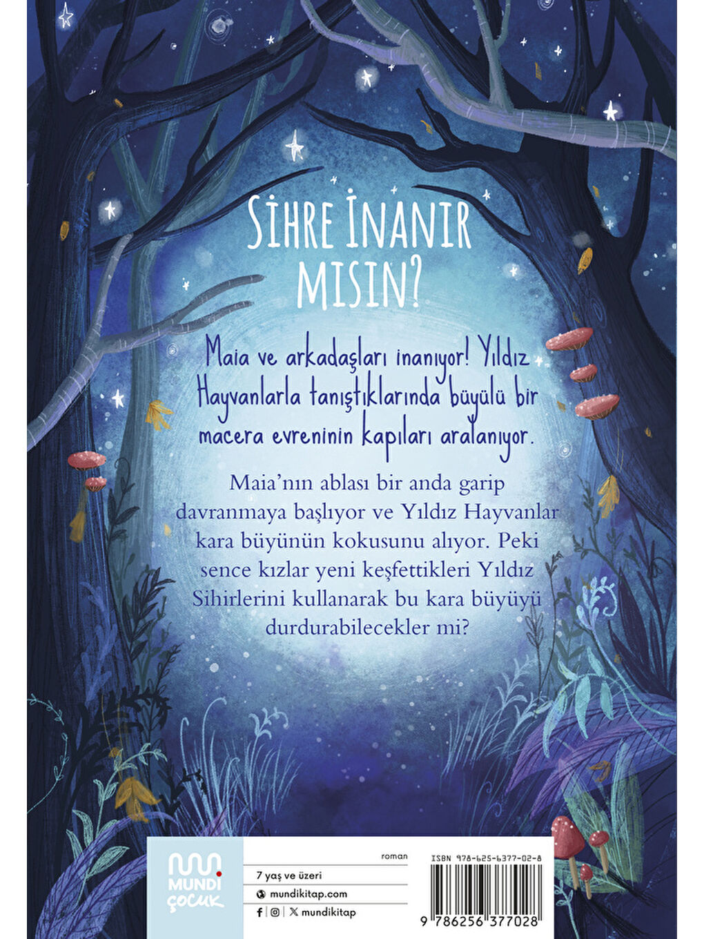 Yıldız Dostlar: Aynanın Sihri-2