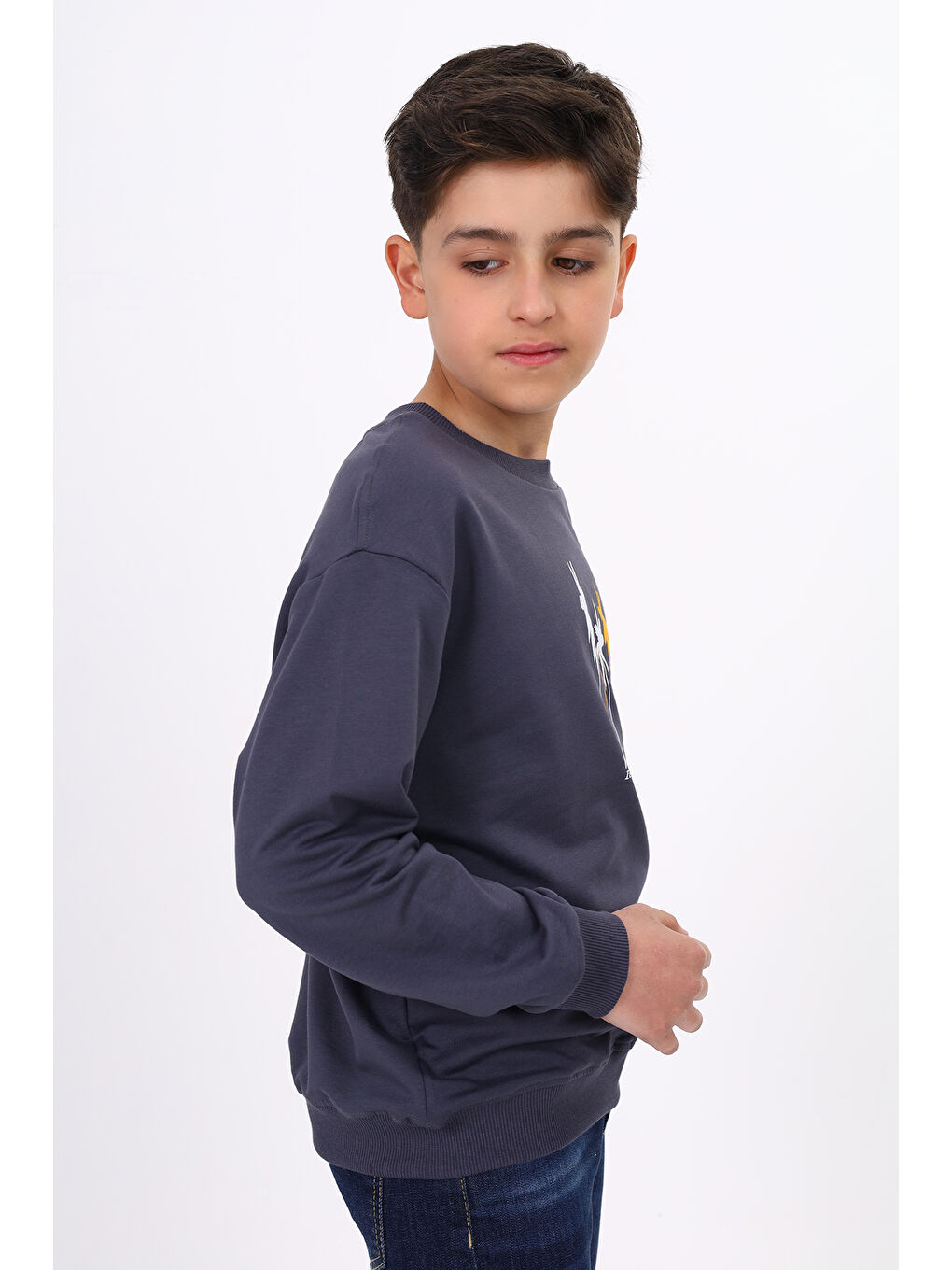 Gri Erkek Çocuk Baskılı Sweatshirt-2
