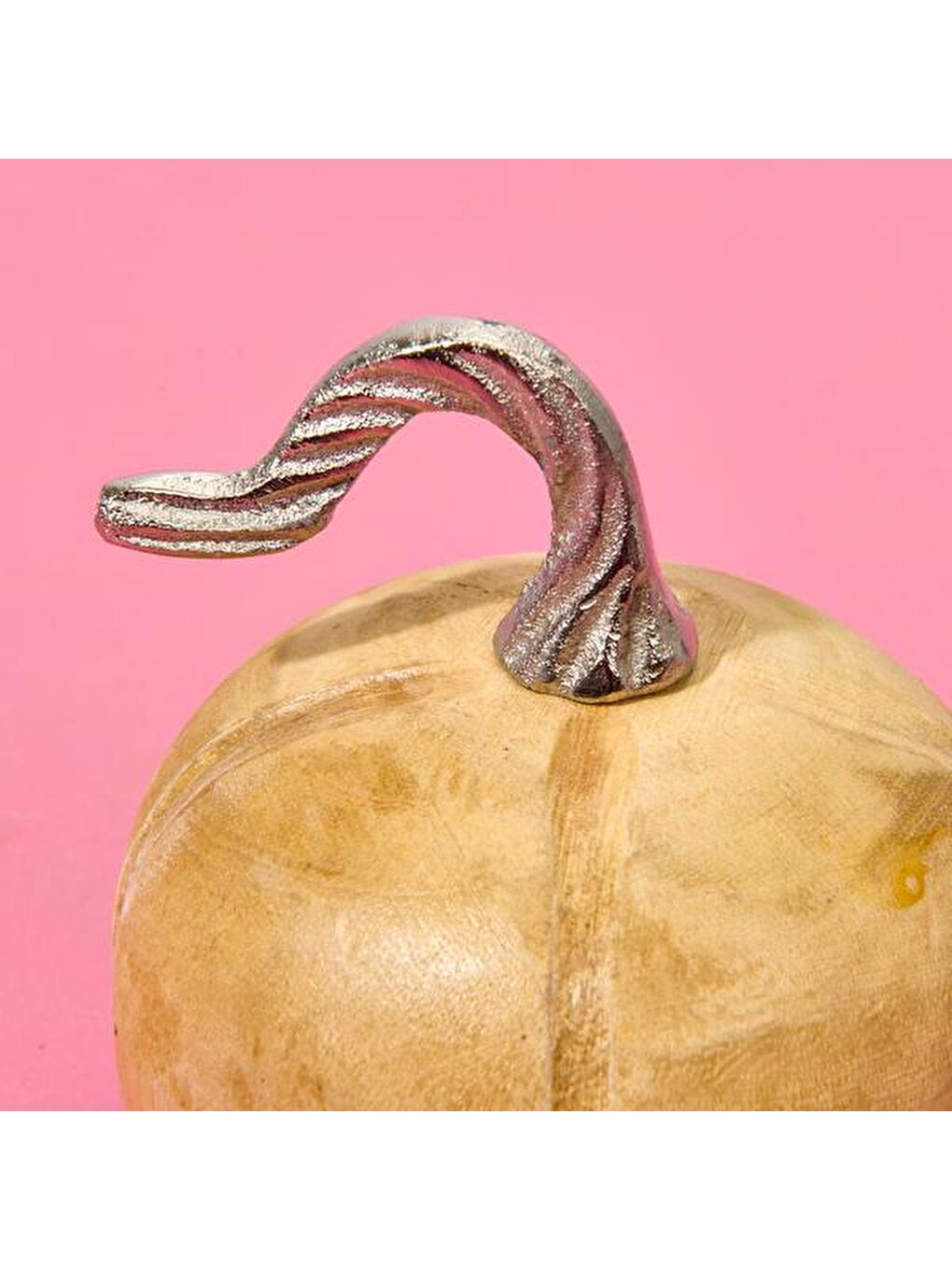 Mango Balkabağı - Kahverengi - 11 cm-2