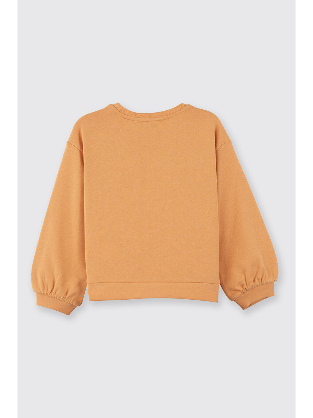 Pembe Kız Bebek Somon Sweatshirt-2