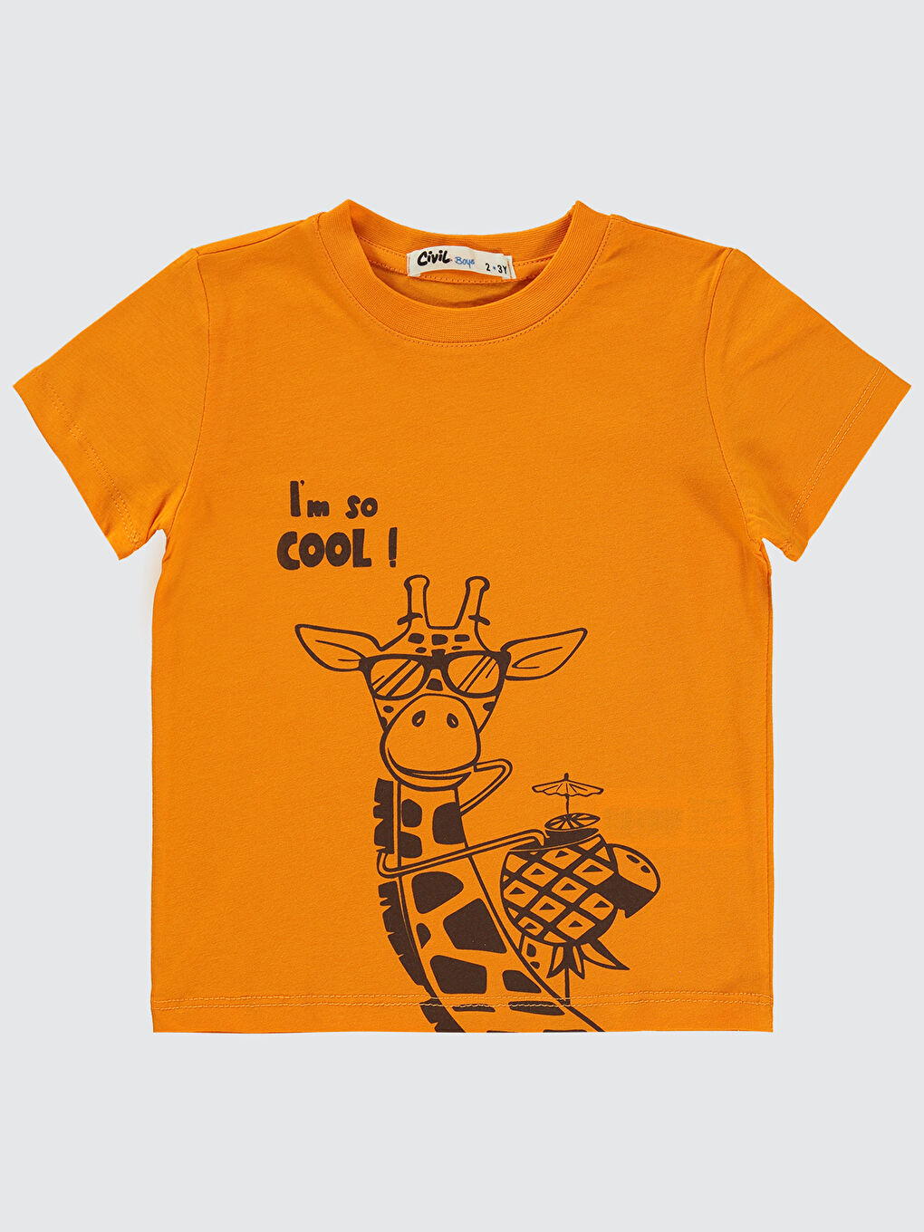Turuncu Boys Erkek Çocuk Tişört 2-5 Yaş Açık Oranj