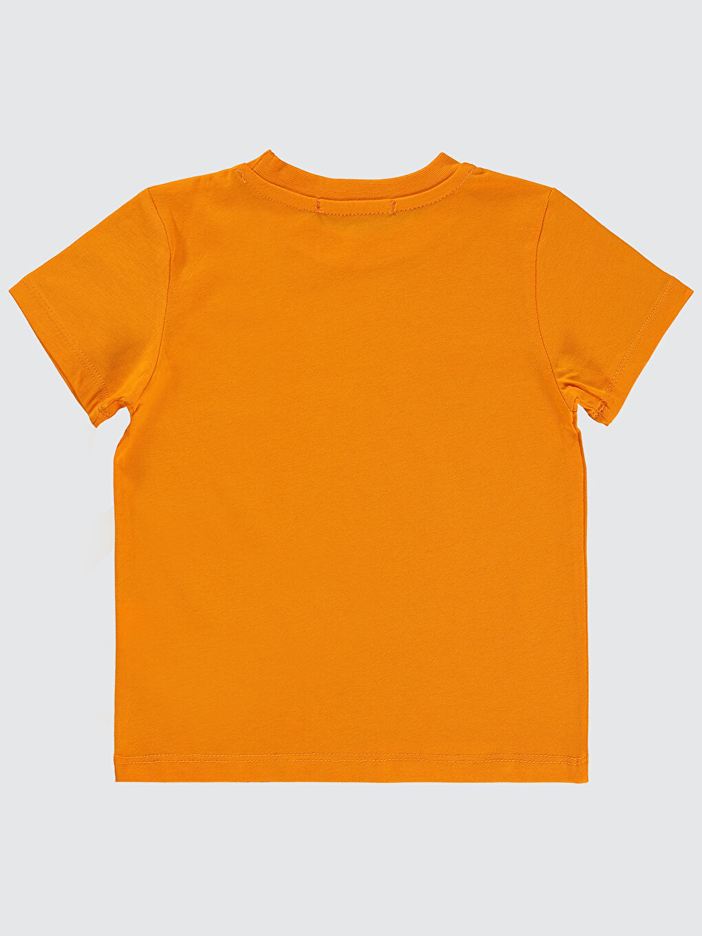 Turuncu Boys Erkek Çocuk Tişört 2-5 Yaş Açık Oranj-1