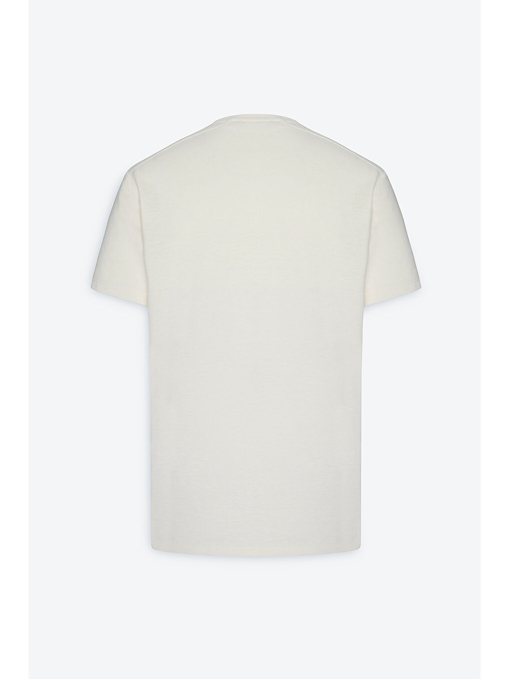 Erkek Ekru Slim Fit Dar Kesim Pamuklu Bisiklet Yaka Tişört-8