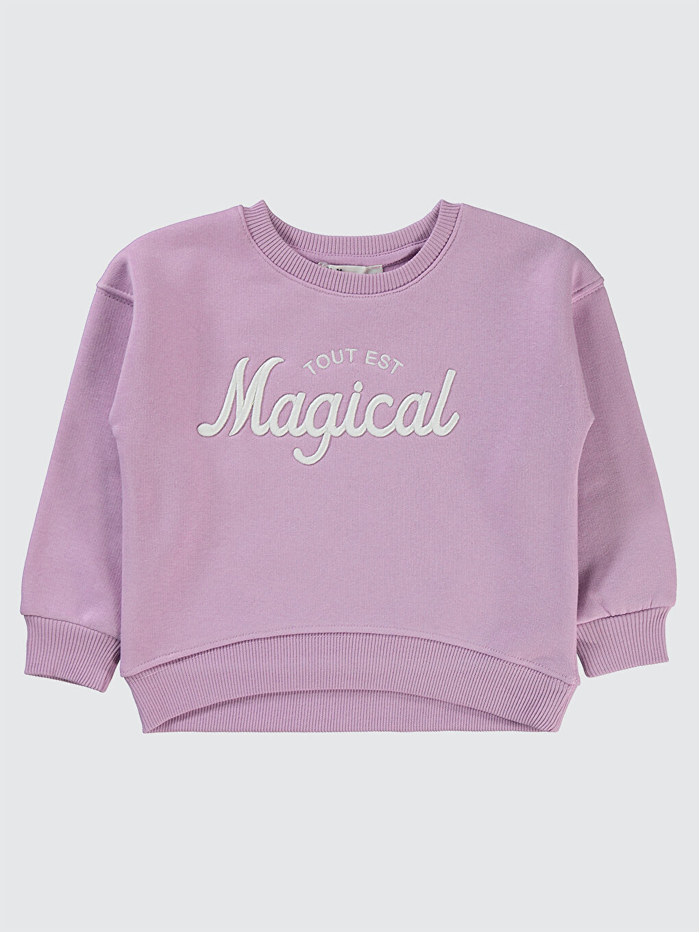 Girls Kız Çocuk Sweatshirt 2-5 Yaş Lila