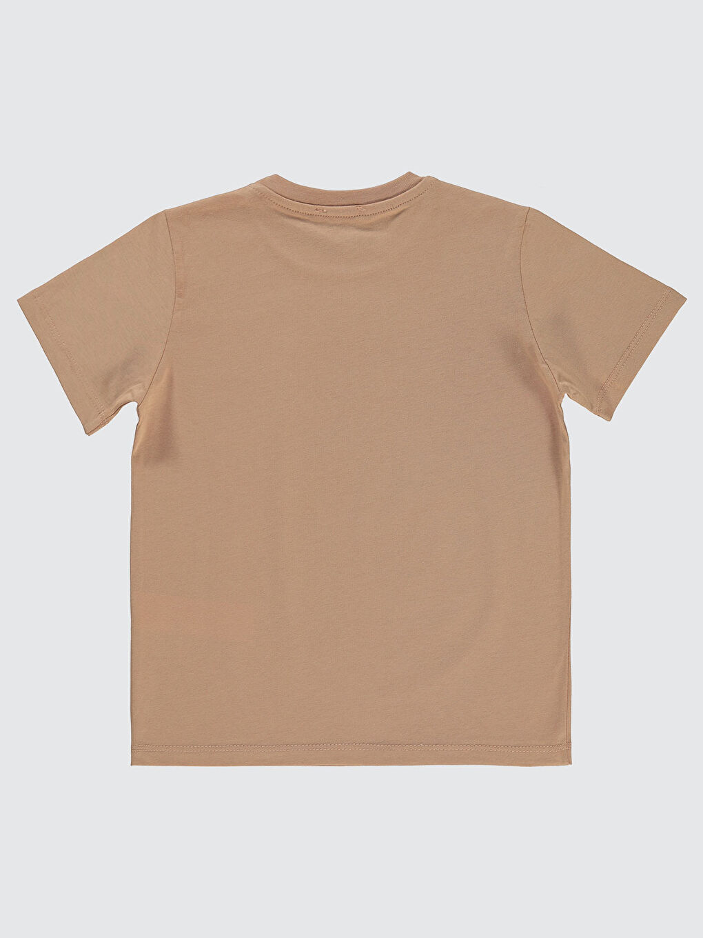 Bej Boys Erkek Çocuk Tişört 6-9 Yaş Vizon-1