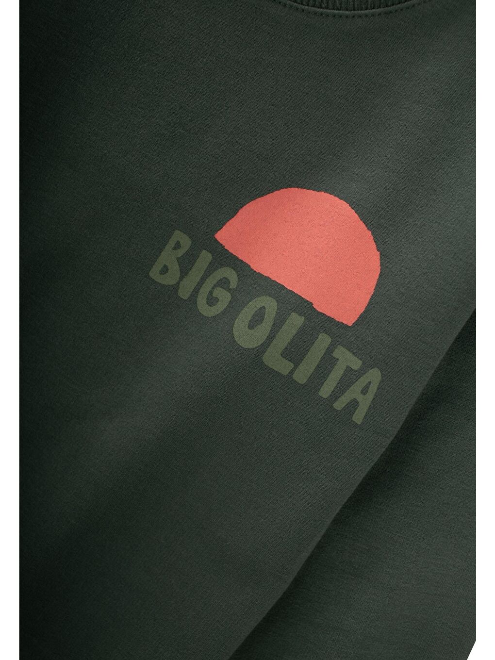 Bıg Olıta Baskılı Sweatshirt 2-10 Yaş Haki Yeşil-2