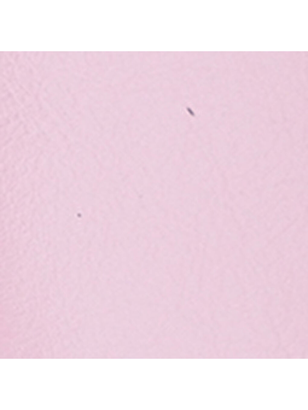 Pembe Midge Orta Topuklu Fileli Fiyonklu Kadın Terlik-6