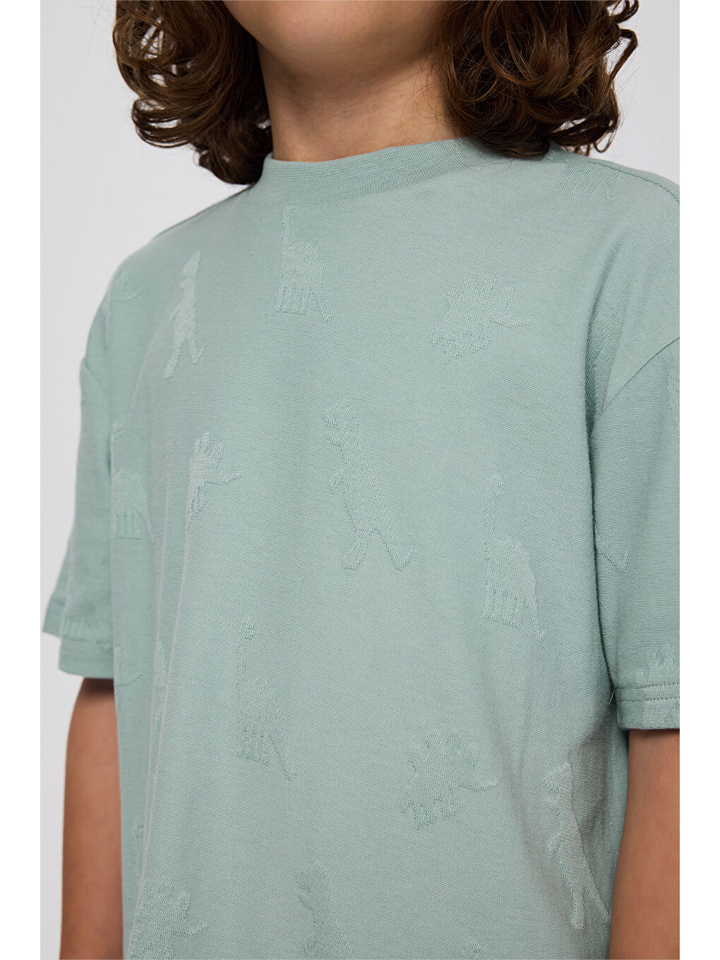 Erkek Çocuk Dinozor Desenli T-Shirt Yeşil-1